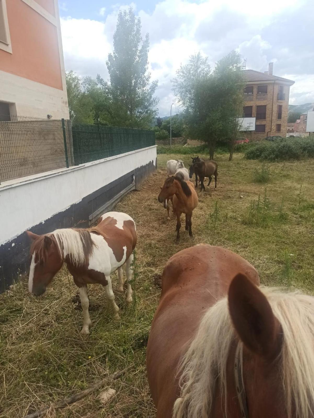 Alojamiento Fiordos Leoneses Bonar Luaran gambar